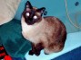 Tony
